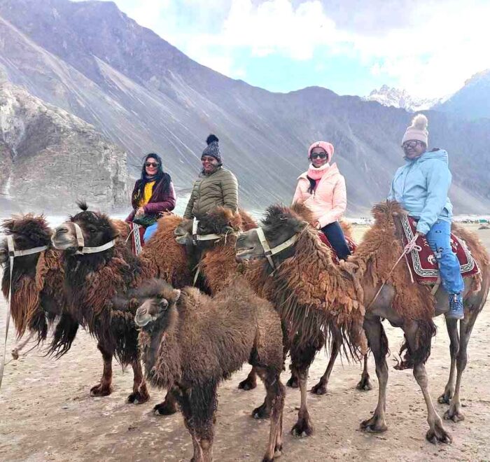 Camel ride amidst the scenic landscapes of Nubra Valley.