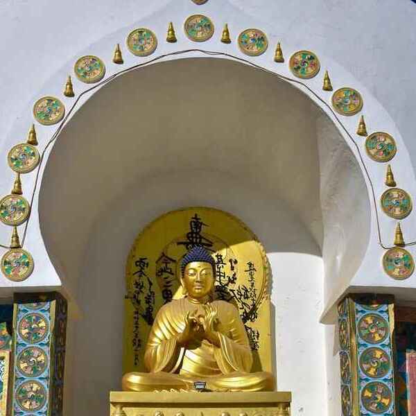 Shanti Stupa Visit in Morning